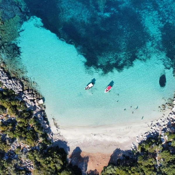 article-6508-69676.XL